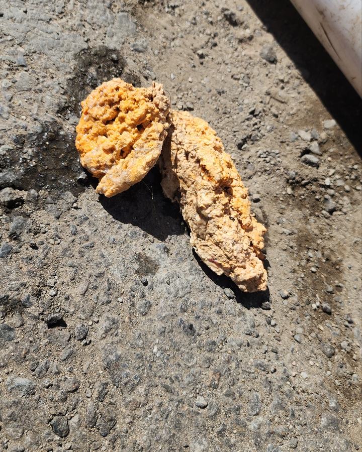 오수받이 작업 중 나온 찌꺼기